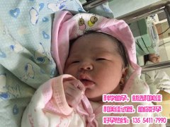 卵巢巧克力囊肿借助试管婴儿成功产子