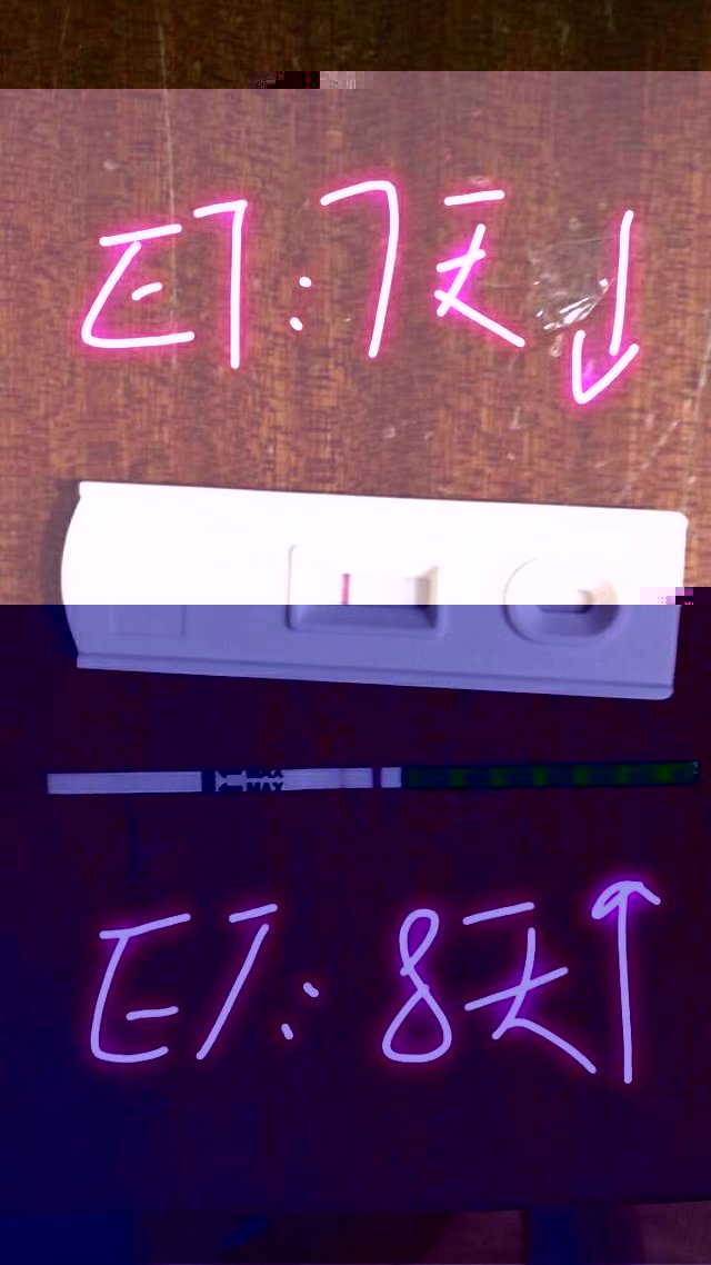 经过7天的漫长等待终于怀上了