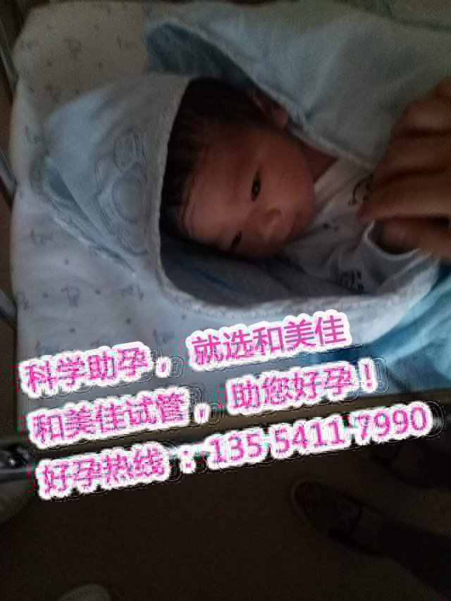 同性姐妹通过试管组建幸福家庭