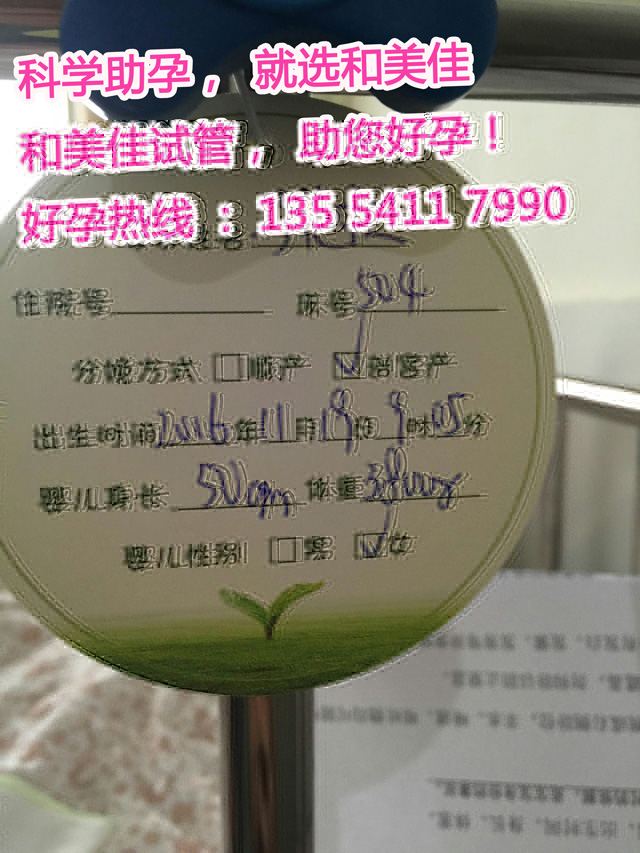 同性姐妹通过试管组建幸福家庭