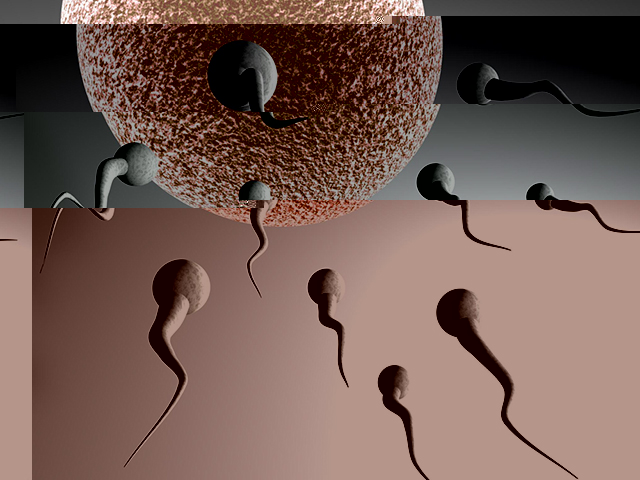 无精、少精、弱精、畸精、死精如何调养