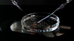 胚胎宝宝在母体的体外会用到哪些培养液？