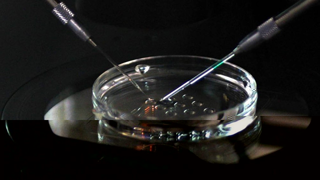 胚胎宝宝在母体的体外会用到哪些培养液?