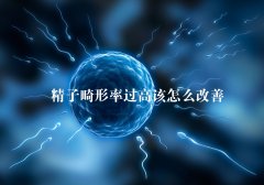 精子畸形率过高该怎么改善？
