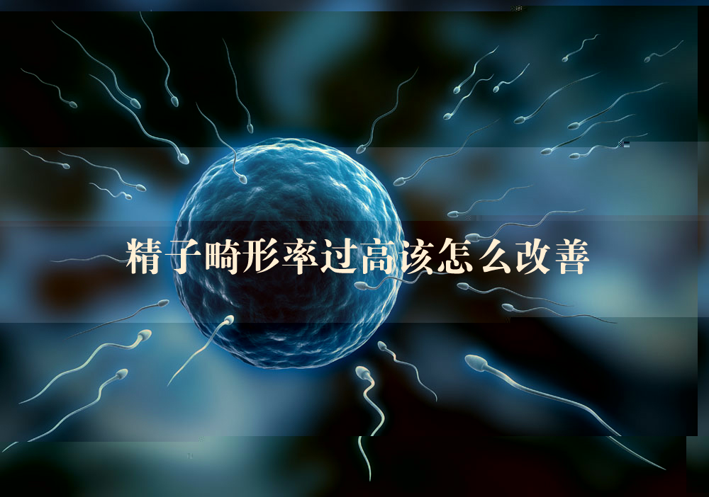 精子畸形率过高该怎么改善